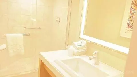 North Classic Room 1 King (#942) bathroom picture #1