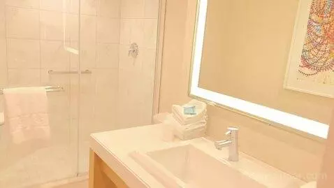 North Classic Room 1 King (#942) bathroom picture #2
