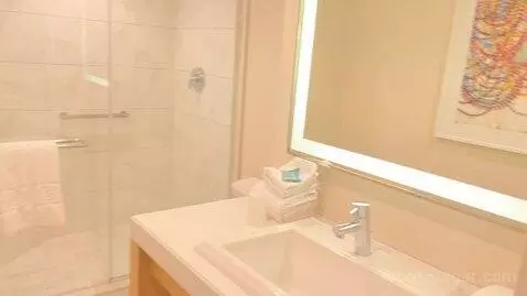 North Classic Room 1 King (#942) bathroom picture #3