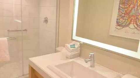 North Classic Room 1 King (#942) bathroom picture #4