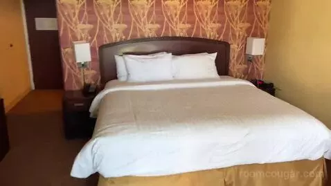 King Room with Balcony (#306) bed picture #12