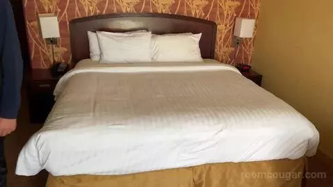 King Room with Balcony (#306) bed picture #1