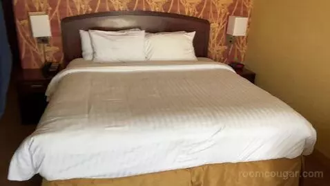 King Room with Balcony (#306) bed picture #2