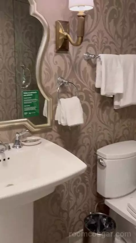 Calais Suite bathroom picture #4