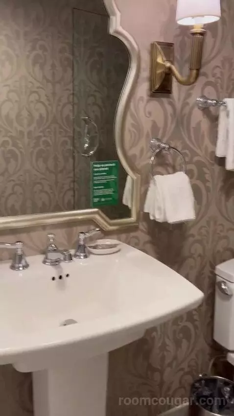 Calais Suite bathroom picture #6