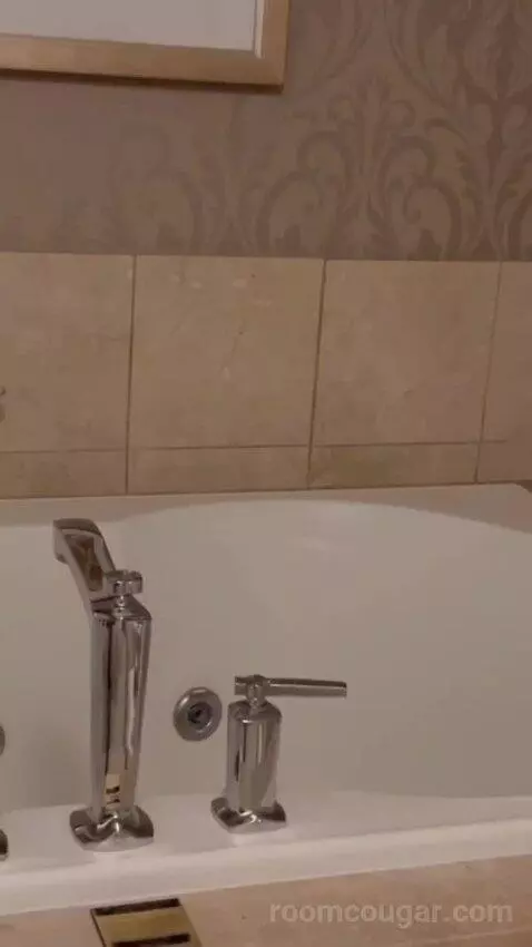 Imperial Suite bathroom picture #6