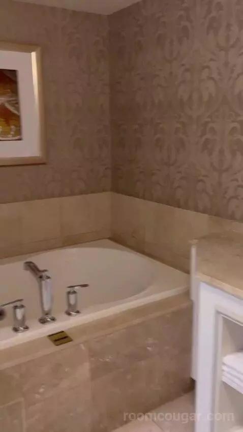 Imperial Suite bathroom picture #1