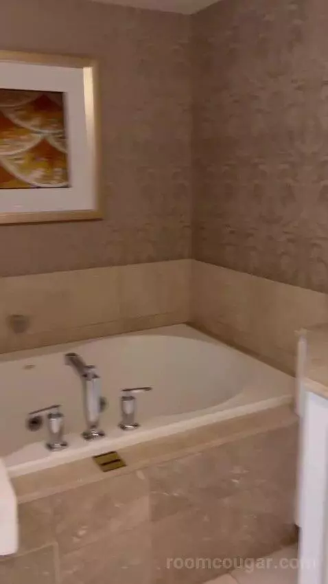 Imperial Suite bathroom picture #2