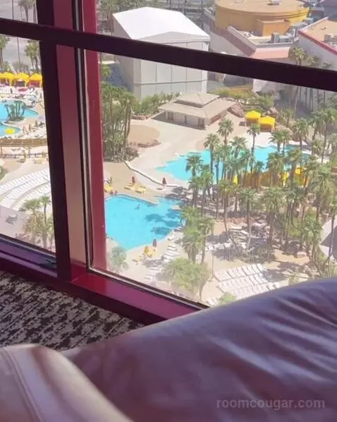 One-Bedroom Suite with Two Queen Beds - High Floor view picture #9