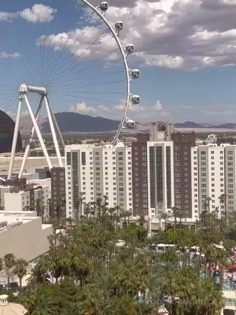 Cosmopolitan Suite, 1 King, High Roller View view picture #10