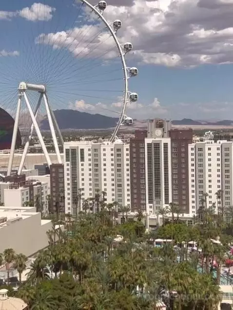 Cosmopolitan Suite, 1 King, High Roller View picture #11