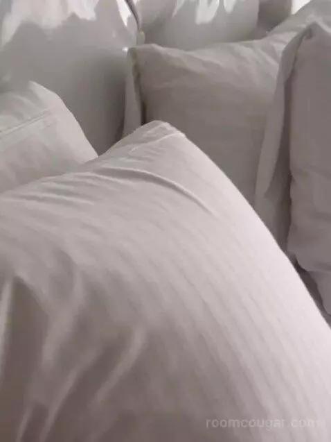Cosmopolitan Suite, 1 King, High Roller View bed picture #9
