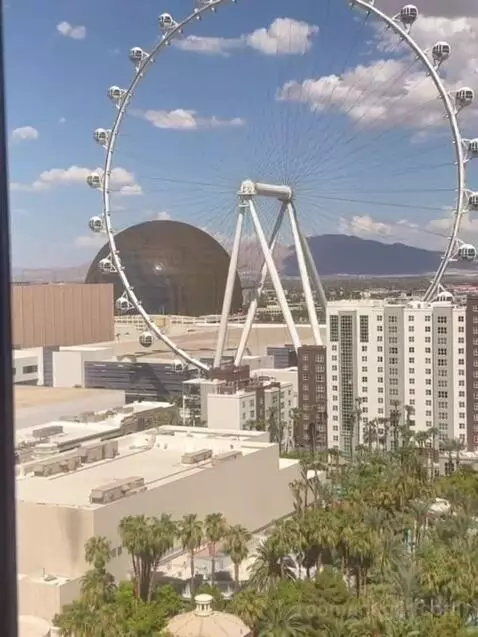 Cosmopolitan Suite, 1 King, High Roller View view picture #6