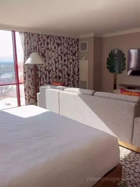 Deluxe King Room bed picture #5
