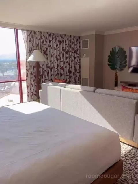 Deluxe King Room bed picture #6