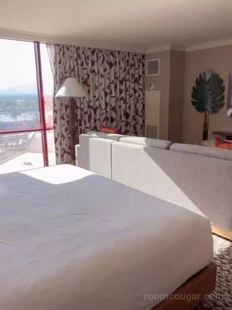 Deluxe King Room bed picture #8