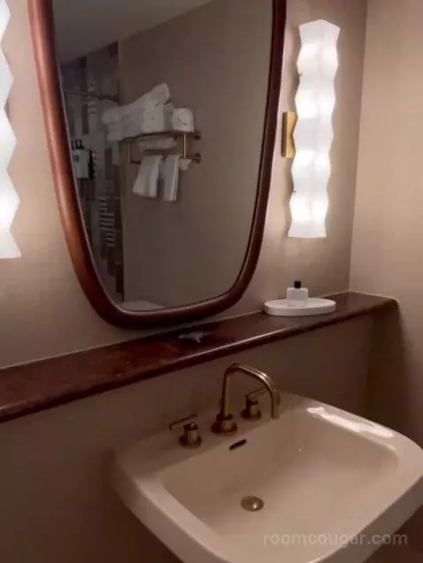 Deluxe King Room bathroom picture #1