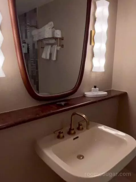 Deluxe King Room bathroom picture #2