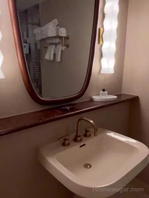 Deluxe King Room bathroom picture #3