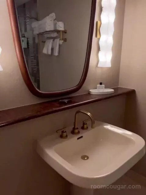 Deluxe King Room bathroom picture #4