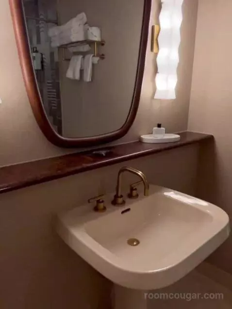 Deluxe King Room bathroom picture #5