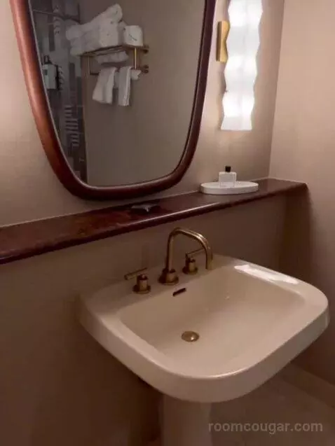 Deluxe King Room bathroom picture #6