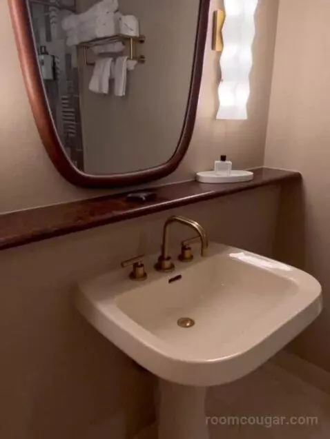 Deluxe King Room bathroom picture #7