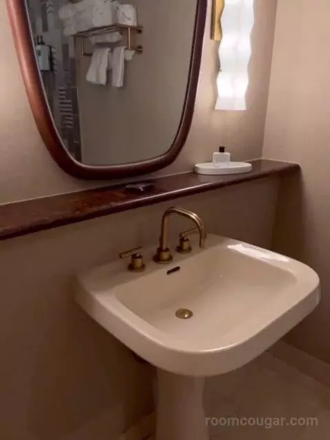 Deluxe King Room bathroom picture #8