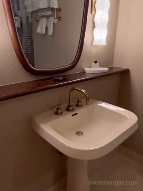 Deluxe King Room bathroom picture #9