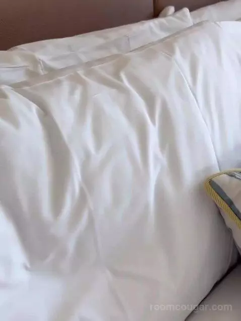 Deluxe King Room bed picture #9