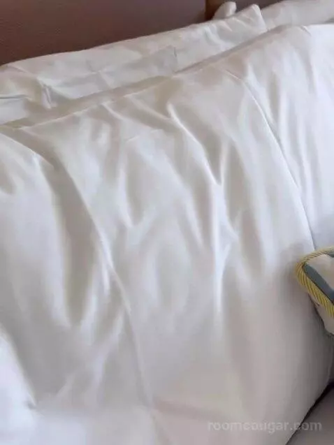 Deluxe King Room bed picture #10