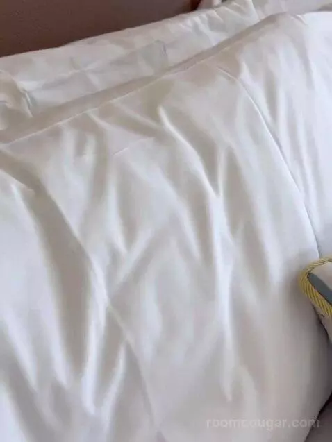 Deluxe King Room bed picture #11