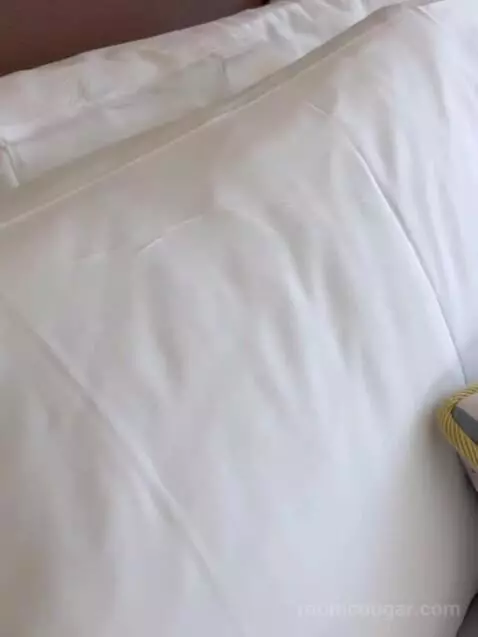 Deluxe King Room bed picture #12
