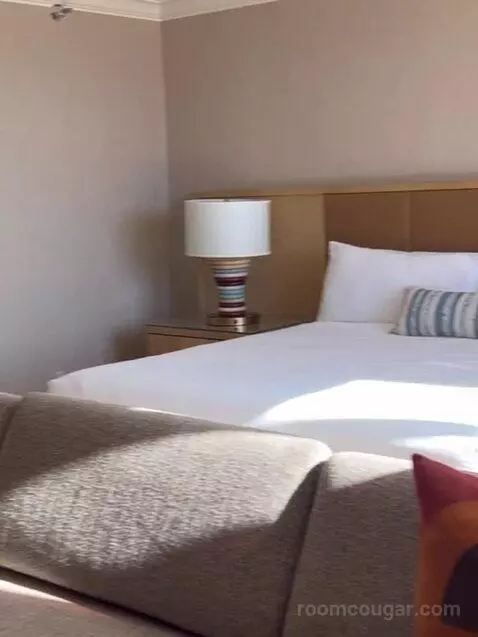 Deluxe King Room bed picture #2