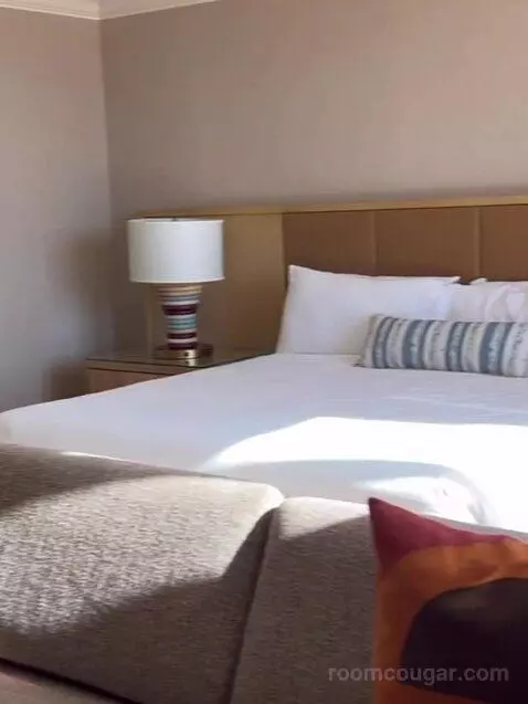 Deluxe King Room bed picture #4