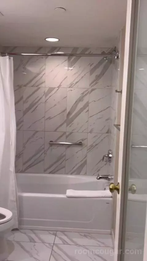 Havana Ocean View Executive Room 1 King (#6035) bathroom picture #1