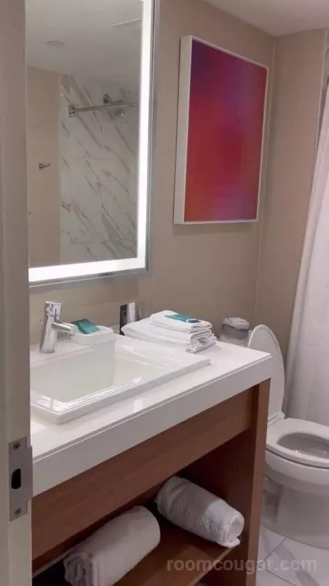 Havana Ocean View Executive Room 1 King (#6035) bathroom picture #6