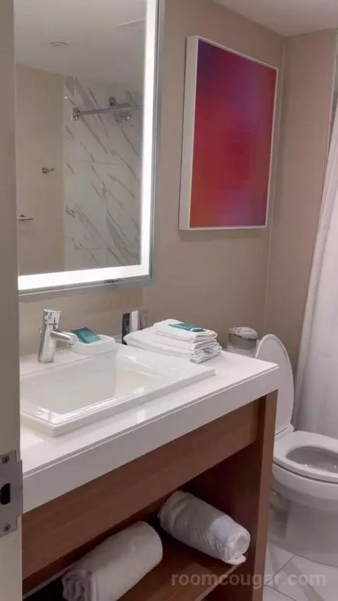 Havana Ocean View Executive Room 1 King (#6035) bathroom picture #8