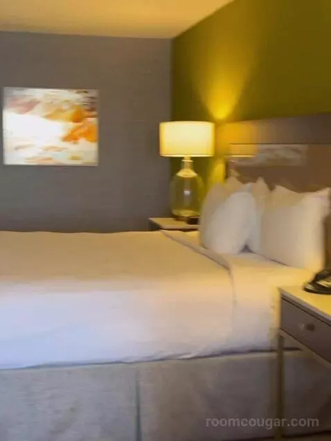 South Junior Suite 1 King (#1588) bed picture #9