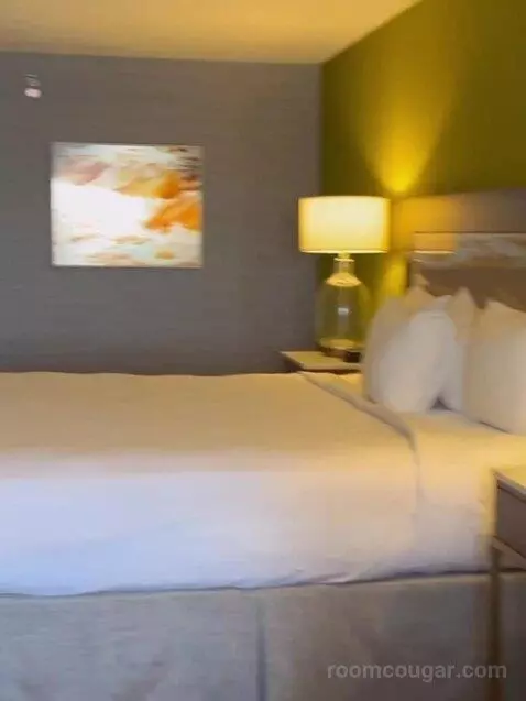 South Junior Suite 1 King (#1588) bed picture #10