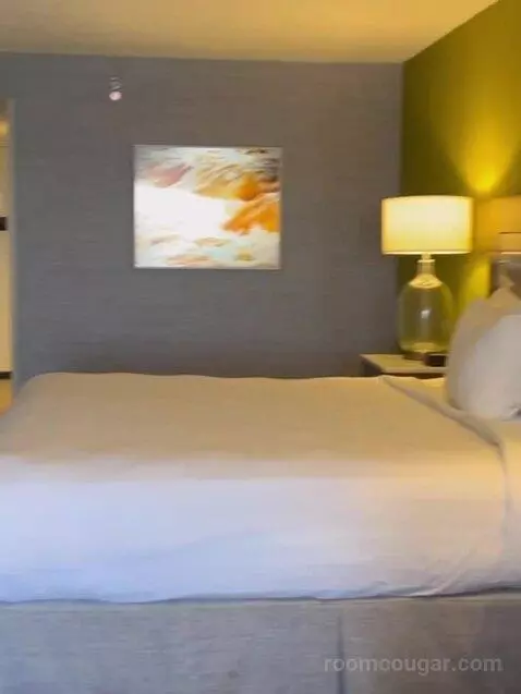 South Junior Suite 1 King (#1588) bed picture #12