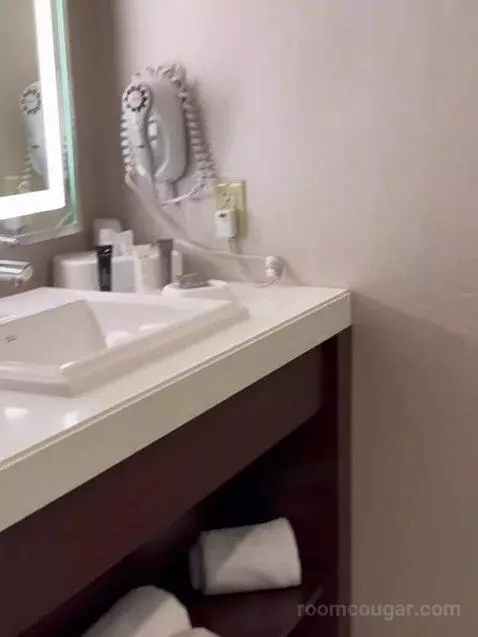 South Junior Suite 1 King (#1588) bathroom picture #2