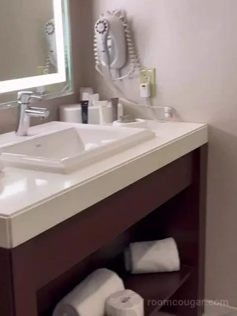 South Junior Suite 1 King (#1588) bathroom picture #4