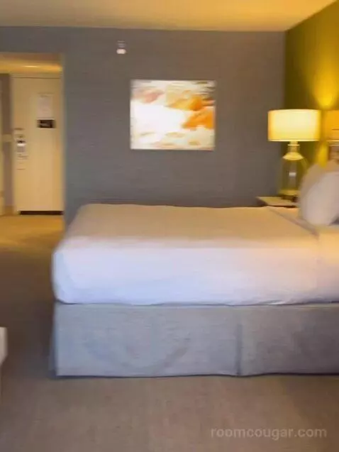 South Junior Suite 1 King (#1588) bed picture #5