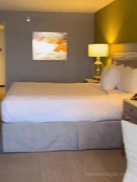 South Junior Suite 1 King (#1588) bed picture #6