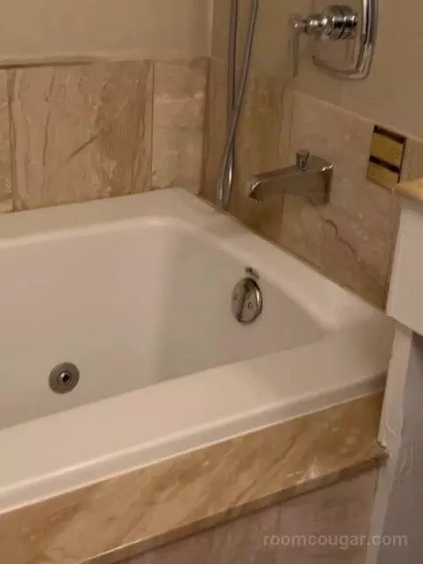 Bordeaux Charlemagne Suite King (3272P) bathroom picture #5