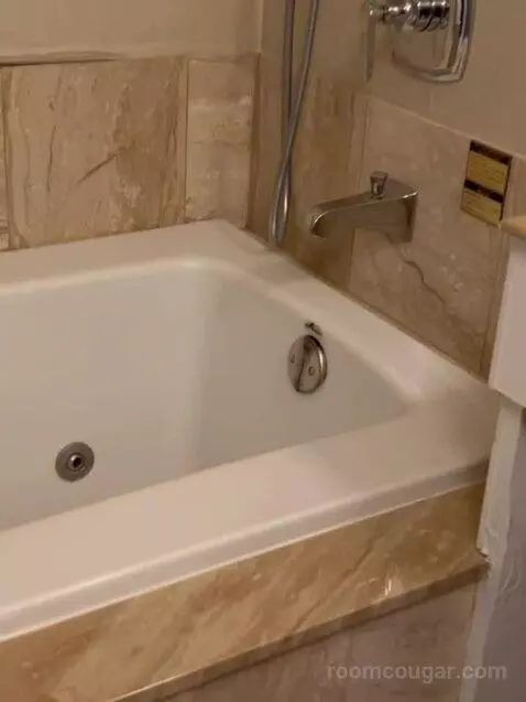 Bordeaux Charlemagne Suite King (3272P) bathroom picture #6
