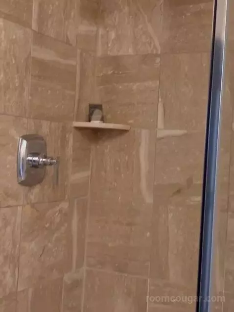 Bordeaux Charlemagne Suite King (3272P) bathroom picture #9