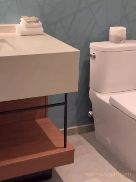 New Renovated Waterfront Tower Modern Suite King bathroom picture #9