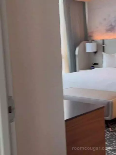 New Renovated Waterfront Tower Modern Suite King bed picture #5